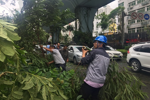 致敬風雨中的安能人--最美的堅守者
